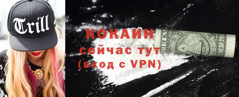 закладки  маркетплейс наркотические препараты  Cocaine FishScale  Кохма  kraken tor 